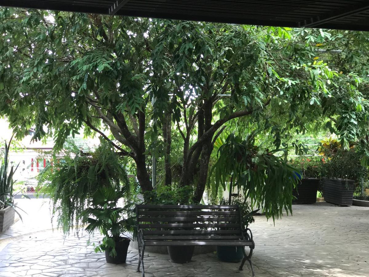 Hotel Chicala Salgar Puerto Salgar Ngoại thất bức ảnh